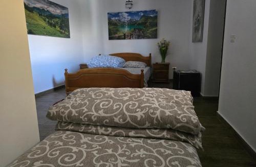 Tulcea Casa | Casa Rico
