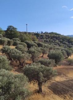 San Mauro Forte Casa | Casa Rocco