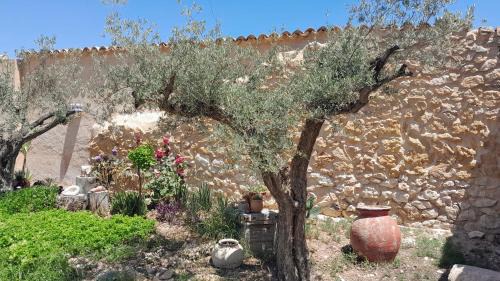 Pinoso Cama Y Desayuno | Casa Rodriguillo