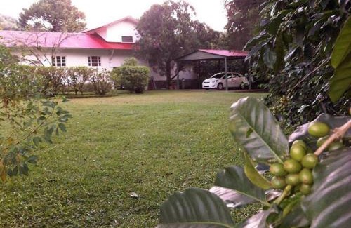Los Naranjos Casa | Casa Romero - A cozy tradition