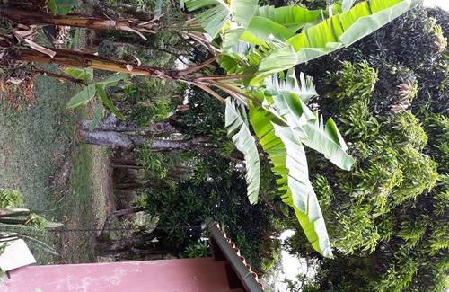 Vale do Capao Casa | Casa Rosa en el valle del Capão