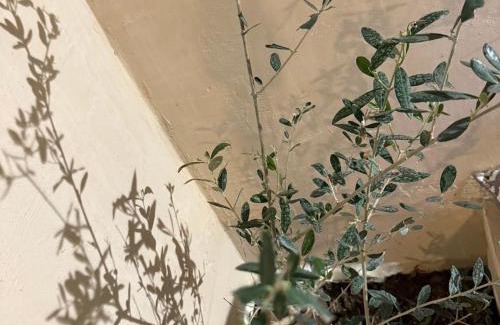 Montecarlo Apartamento | Casa Ru-Hè Mèrida