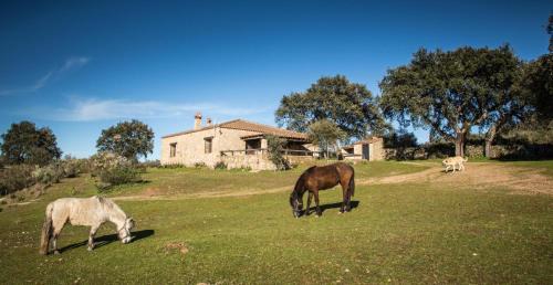 San Vicente de Alcantara Casa | Casa Rural La Vega