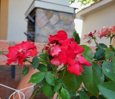 La Cumbre Casa | Casa Rural Amaneceres