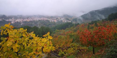 El Arenal Casa | CASA RURAL CASA CANDI