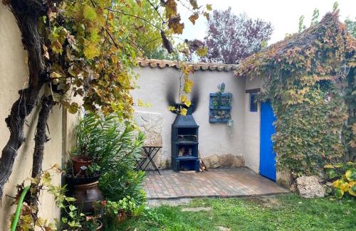Velliza Casa | Casa rural De Añil - Jardín privado