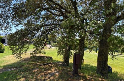 Quintanilla de los Adrianos Casa | casa rural de un artista en plena naturaleza piscina y parque de esculturas en villarcayo