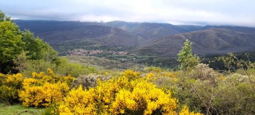 Pineda de la Sierra Casa | CASA RURAL EL HAYEDO