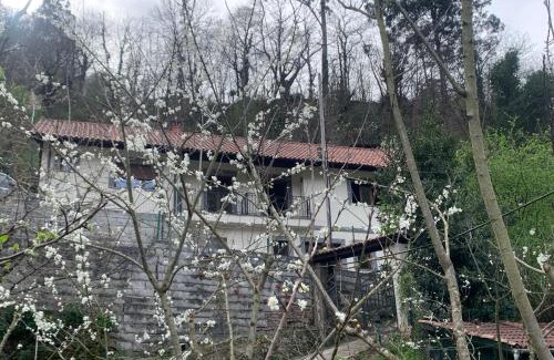 Bustiello Chalet De Esquí | Casa Rural en Santa Cruz-Mieres