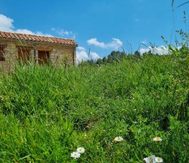 La Pobla de Benifassa Casa | Casa Rural Haiku