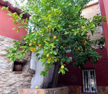 Zorita Casa | Casa Rural La Perra Gorda