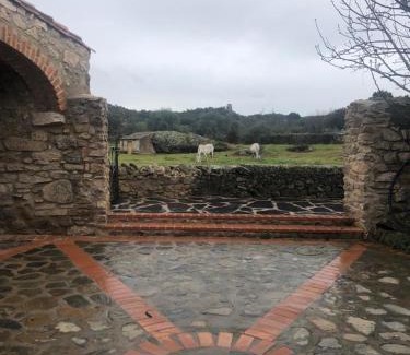 Plasenzuela Casa | Casa rural La Tahona del abuelo TR CC 00344