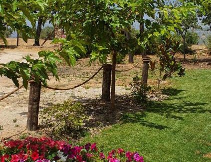 Candeleda Casa | casa Rural Las Traviesas