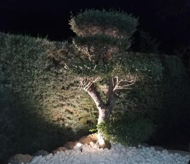 Benaojan Casa | Casa Rural Los Cascajales
