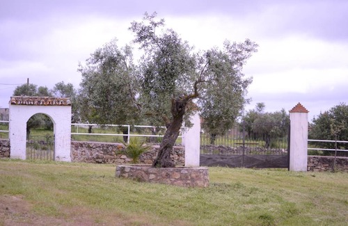 Casar de Caceres Casa | Casa Rural Los Jarales Número Registro TR-CC-00365