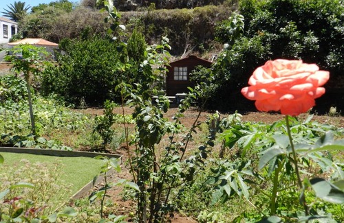 Puntallana Casa | Casa Rural María Cruz