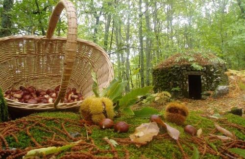 Montanchez Casa | CASA RURAL MARGARITA I