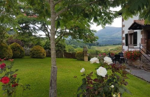 Zuaztoi de Azpilkueta Casa | Casa Rural Petisansenea II