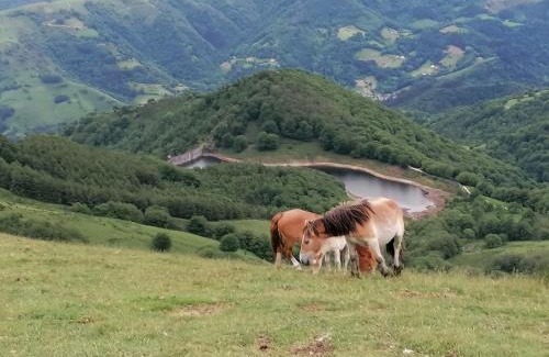 Arantza Casa | Casa rural SOROA landetxea