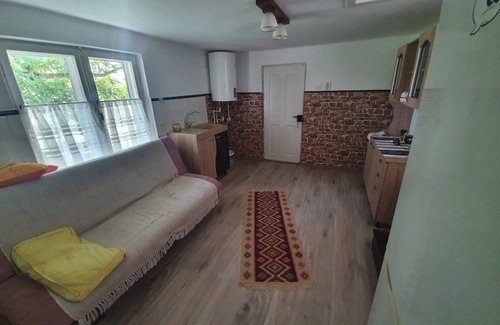 Campina Casa | Casa rurala cu livada si padurice