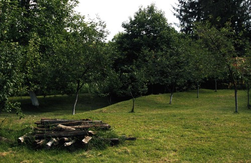 Campina Casa | Casa rurala cu livada si padurice