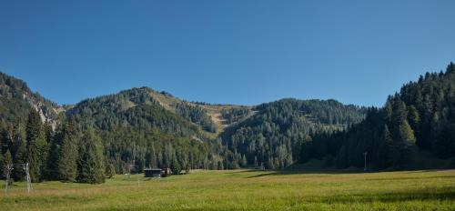 Sauris Apartamento | Casa Sauris