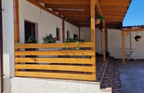 Corbu Casa | Casa Selina