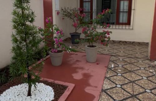 Soure Casa | Casa Soure
