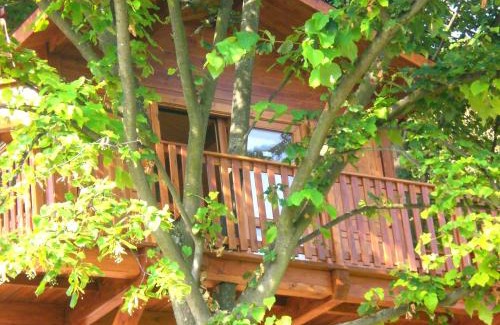 San Salvatore Monferrato Casa | Casa sull'Albero Aromantica