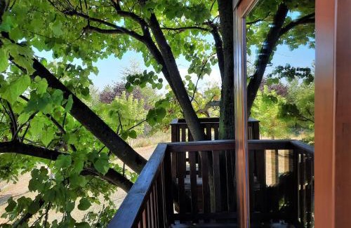 San Salvatore Monferrato Casa | Casa sull'Albero Aromantica