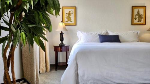 Santa Catarina Casa | Casa Tamayo