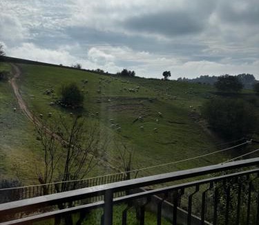 Murazzano Apartamento | Casa Teresa