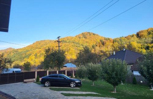 Gura Teghii Casa | Casa Toader