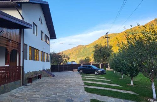Gura Teghii Casa | Casa Toader