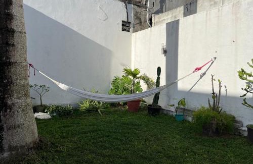 San Miguel Casa | Casa Toadfish