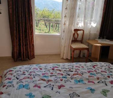 Cisnadie Casa | Casa Tonyza