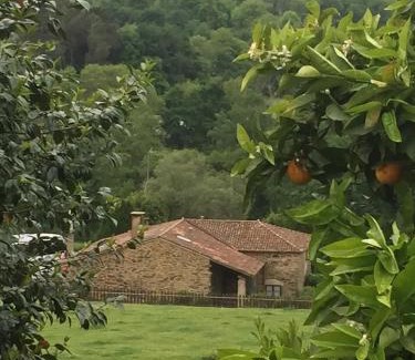 Vila de Cruces Casa | Casa Torres