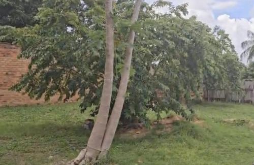 Guayaramerin Casa | Casa Trebol