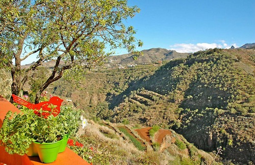 La Solana Cabaña | Casa Tres Almendros