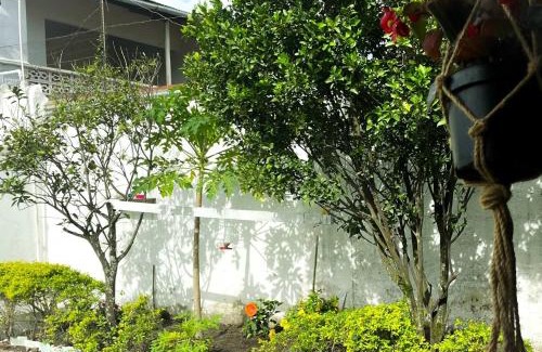 Guaduas Casa | Casa Turística la Villa de Poli