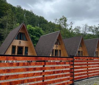 Cartisoara Cabina | Casa Ursu