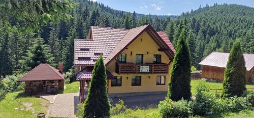 Vatra Moldovitei Cabina | Casa Ursuleasa