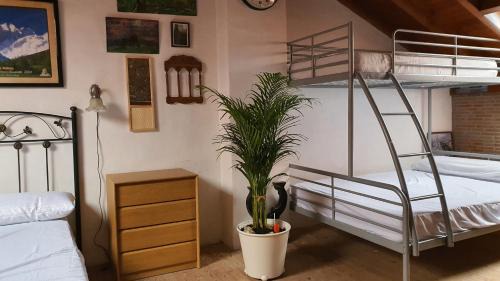Poo Casa | Casa Vacacional Ekilore