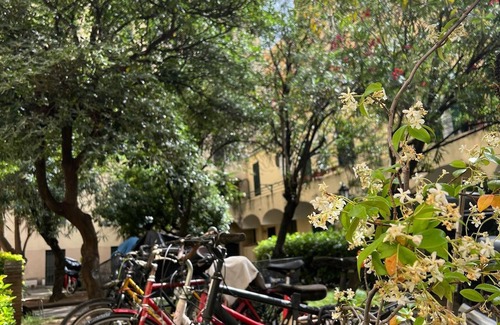 Pigneto Apartamento | Casa Vacanza Al Pigneto