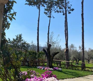 Albanella Casa | Casa Vacanza Capozzoli