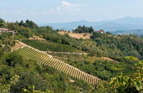 Rocca Grimalda Apartamento | Casa Vacanza Tra Vigneti E Mura