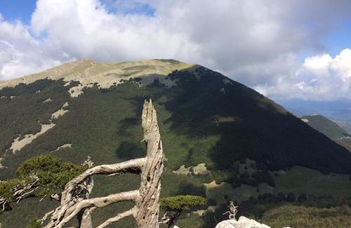 Fardella Casa | Casa Vacanze del Pollino