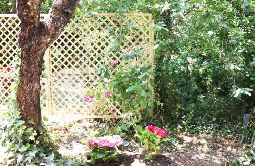 Aritzo Apartamento | Casa vacanze il Giardino - Appartamento Ciliegio