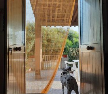 Pachino Casa | Casa vacanze Le Dune