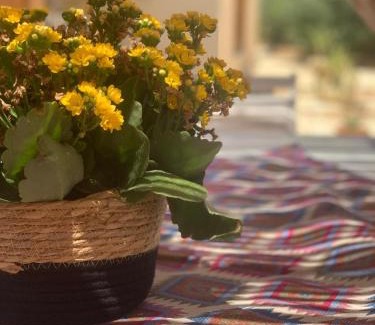 Marsala Casa | Casa Vacanze Lo Stagnone da Rosita